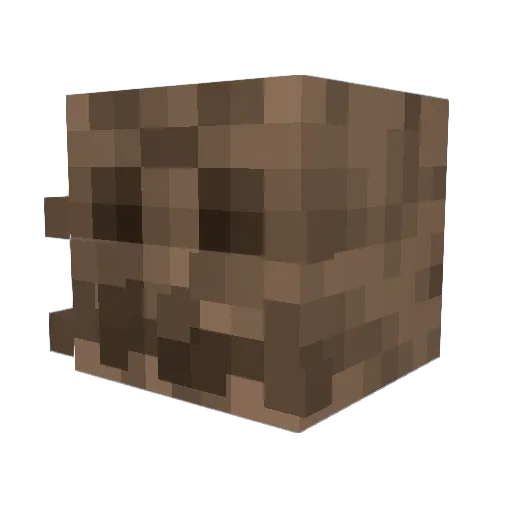 Player31505 Minecraft avatar head, 3D render