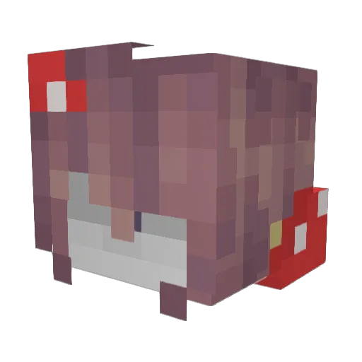Player4838 Minecraft avatar head, 3D render