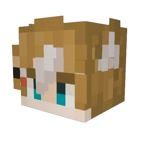 Player978 Minecraft avatar head, 3D render