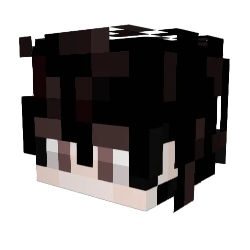 PlayerAR2 Minecraft avatar head, 3D render