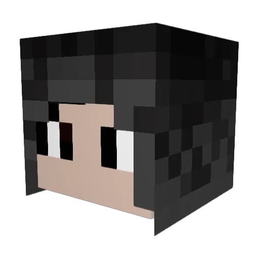 PlayerBrasil13 Minecraft avatar head, 3D render