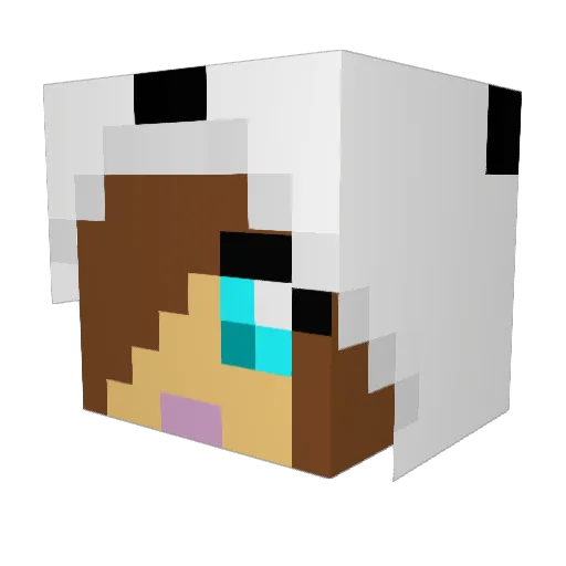 PlayerJustin Minecraft avatar head, 3D render