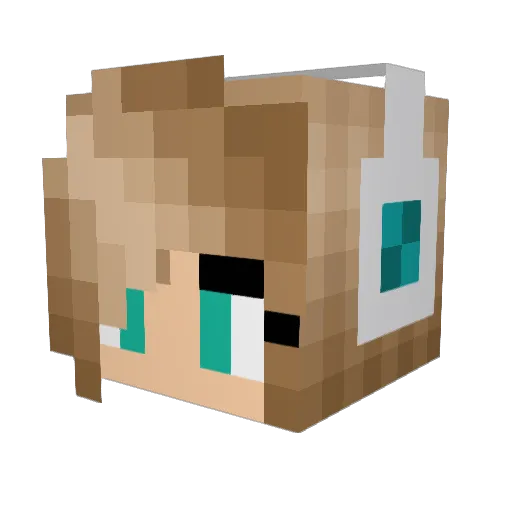 PlayerN00b_ Minecraft avatar head, 3D render