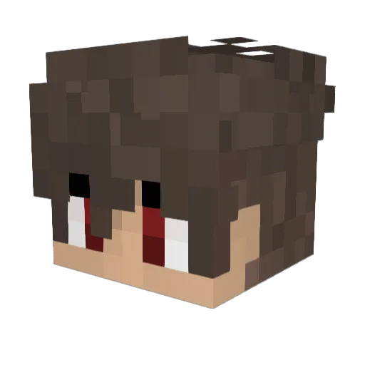 PlayerZeroo Minecraft avatar head, 3D render