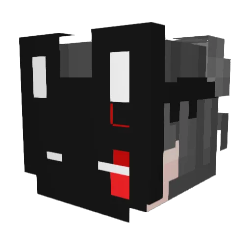 Playerco11 Minecraft avatar head, 3D render