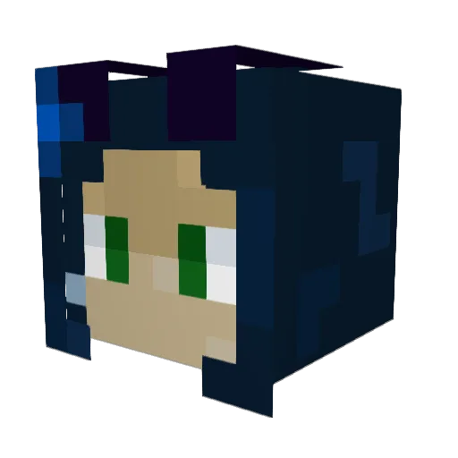 PlayfulPup Minecraft avatar head, 3D render