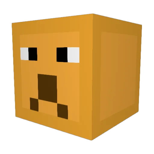 PlayfulTiger Minecraft avatar head, 3D render