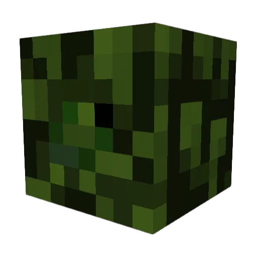 Playingtube443 Minecraft avatar head, 3D render