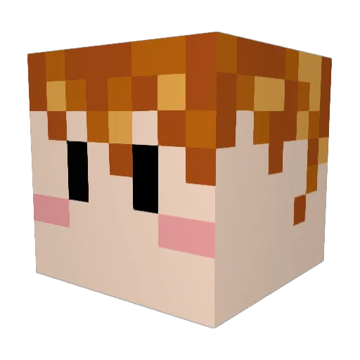 Playmaker4221 Minecraft avatar head, 3D render