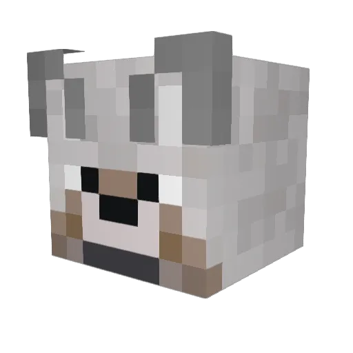 Playplay2009 Minecraft avatar head, 3D render