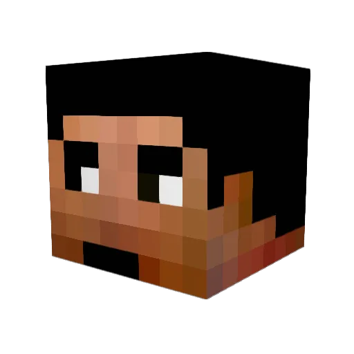 PlaywwithDarkVAN Minecraft avatar head, 3D render