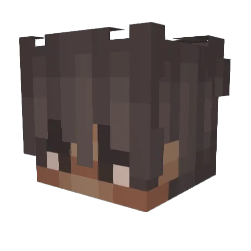 PlayzDew Minecraft avatar head, 3D render