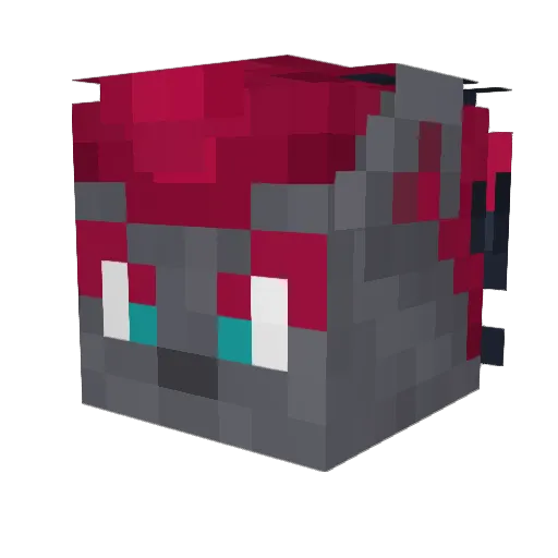 Plazma1470 Minecraft avatar head, 3D render