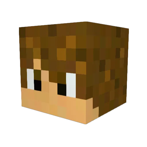 Plazma252 Minecraft avatar head, 3D render