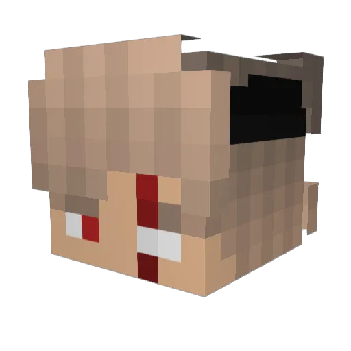 Plazowicz Minecraft avatar head, 3D render