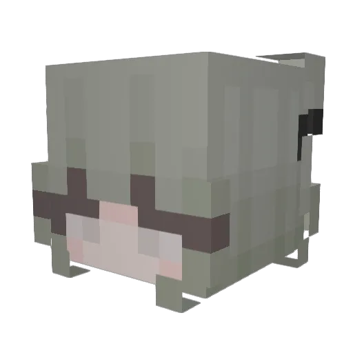 Plazyx Minecraft avatar head, 3D render