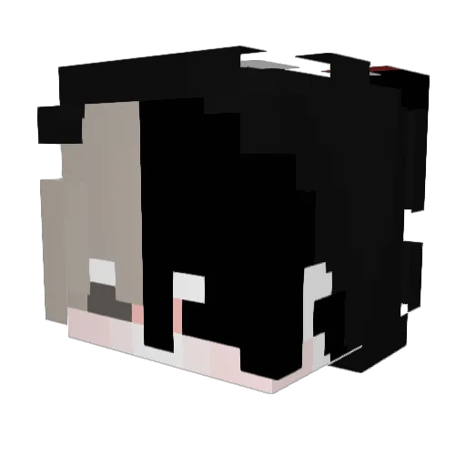 PleaseChips Minecraft avatar head, 3D render