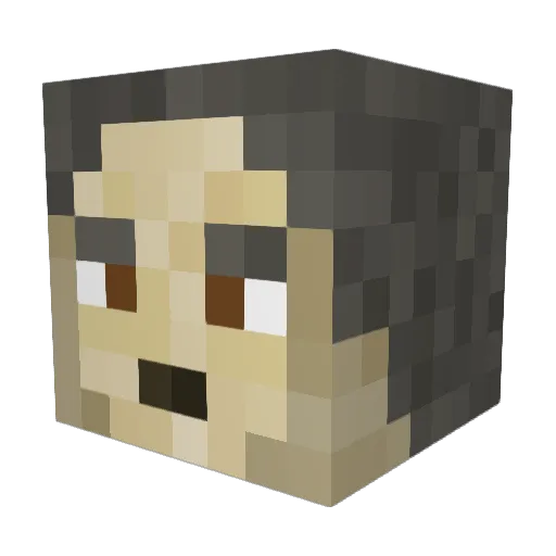 PleaseDontHurtMe Minecraft avatar head, 3D render