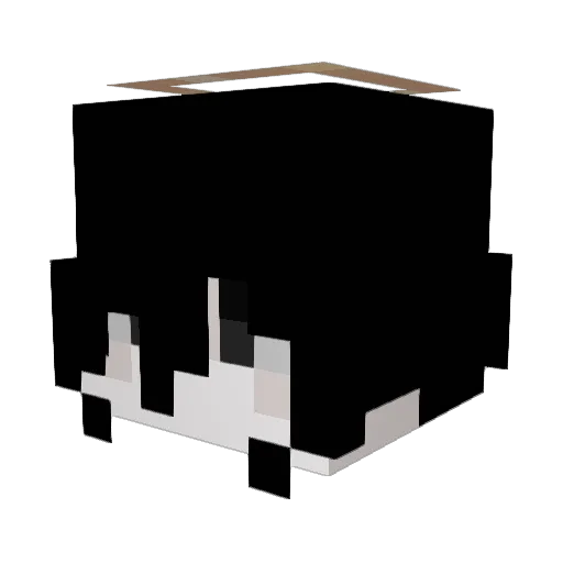 PleaseForgiveMe_ Minecraft avatar head, 3D render