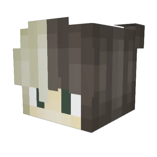 PleaseMrPostman Minecraft avatar head, 3D render