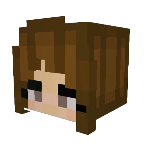 Pleasekyslol Minecraft avatar head, 3D render