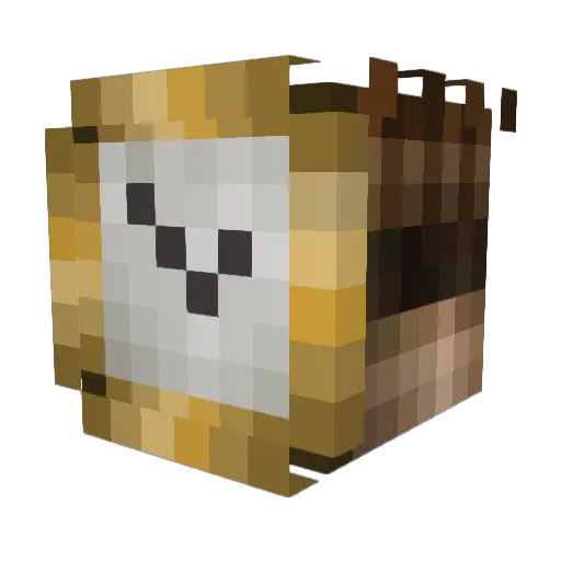 Pleata Minecraft avatar head, 3D render