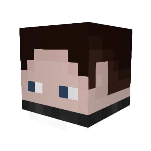 Plebias Minecraft avatar head, 3D render