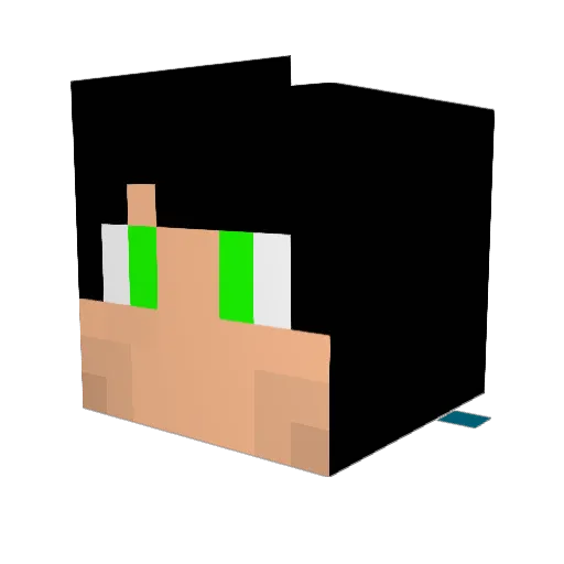 Plebola Minecraft avatar head, 3D render