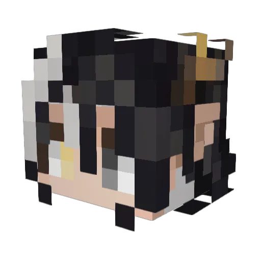 Plenilunium_ Minecraft avatar head, 3D render