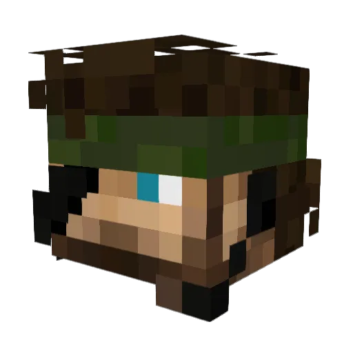 Plenti Minecraft avatar head, 3D render
