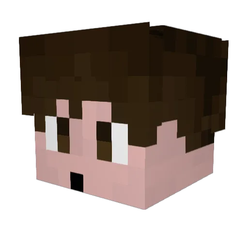 PlentyGames Minecraft avatar head, 3D render