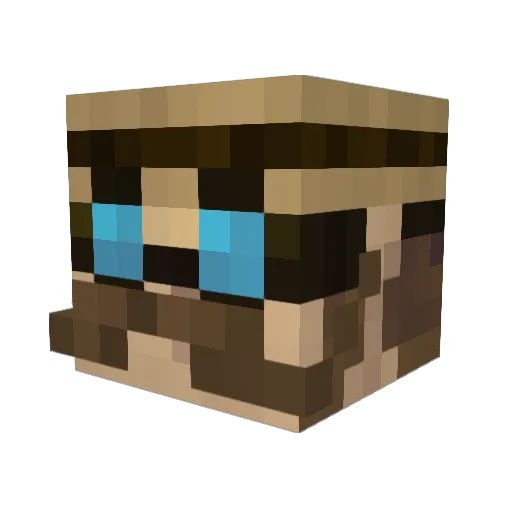 Pleomir Minecraft avatar head, 3D render
