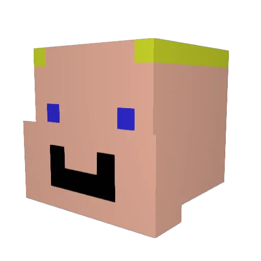 Pleppi Minecraft avatar head, 3D render