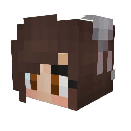 Pleribus_Sears Minecraft avatar head, 3D render