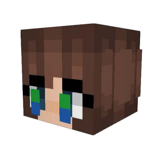 Plescia1 Minecraft avatar head, 3D render