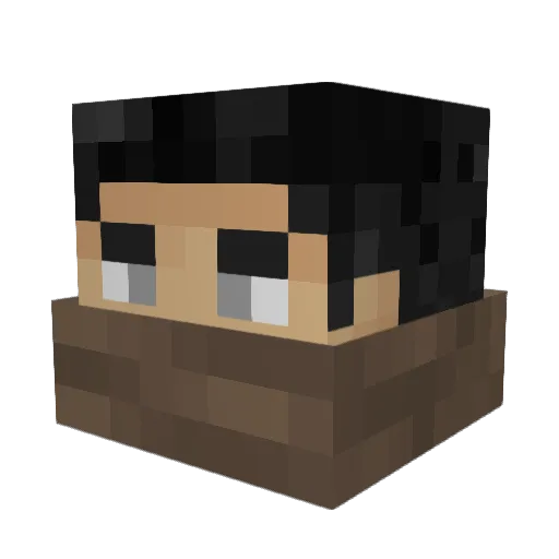 Plesichon Minecraft avatar head, 3D render