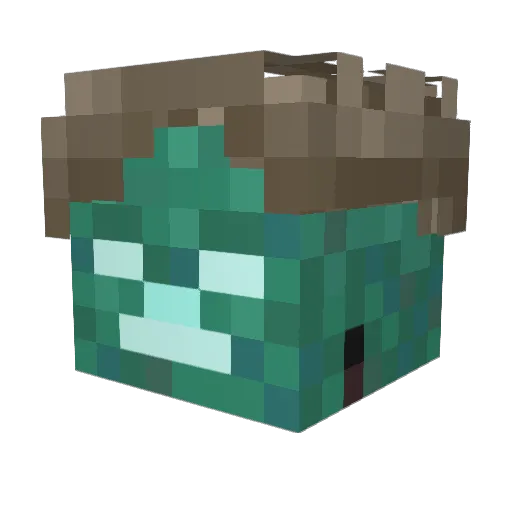 Plesir Minecraft avatar head, 3D render
