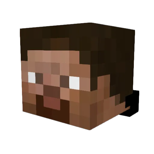 Plessen Minecraft avatar head, 3D render