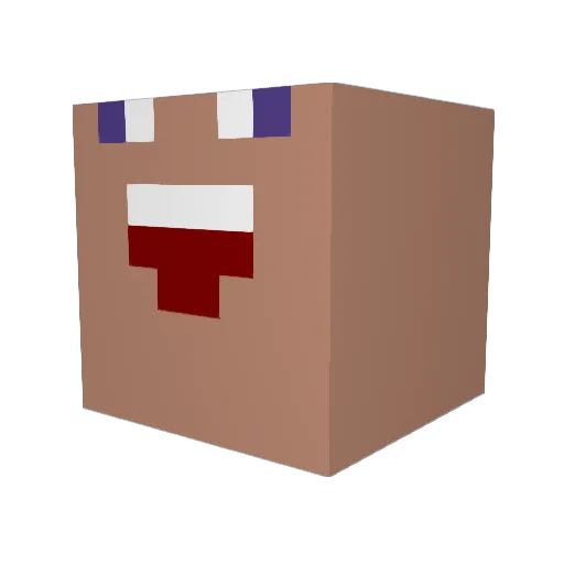 Pletkip Minecraft avatar head, 3D render