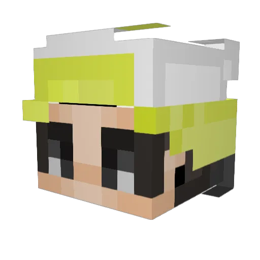Plexlol123 Minecraft avatar head, 3D render