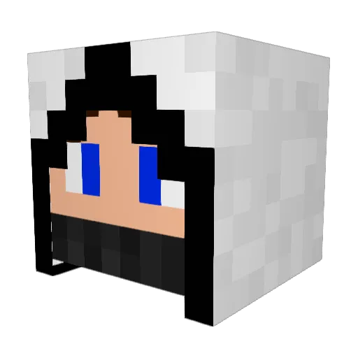 Plexstin Minecraft avatar head, 3D render