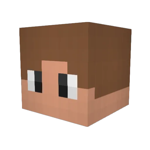 Plexusfx Minecraft avatar head, 3D render