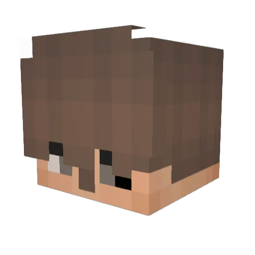 Plexxi Minecraft avatar head, 3D render