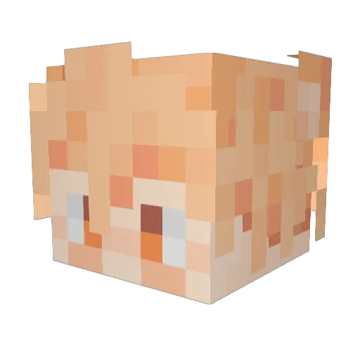 Plicovi Minecraft avatar head, 3D render