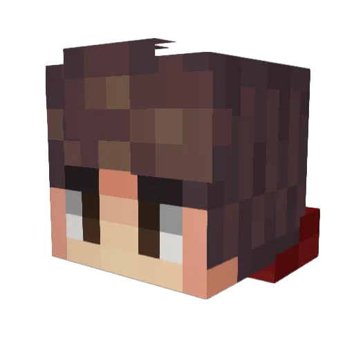 Plik_ Minecraft avatar head, 3D render