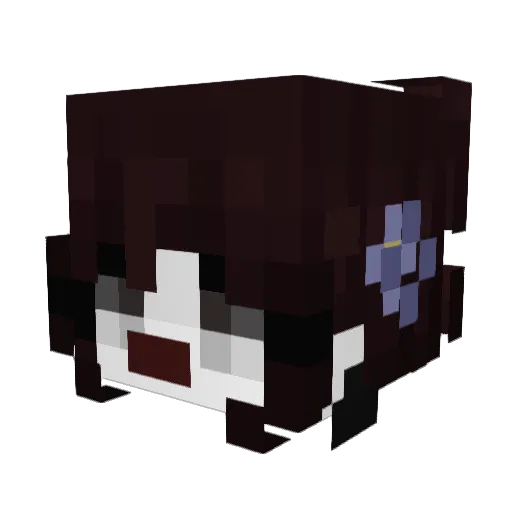 Plimplin Minecraft avatar head, 3D render