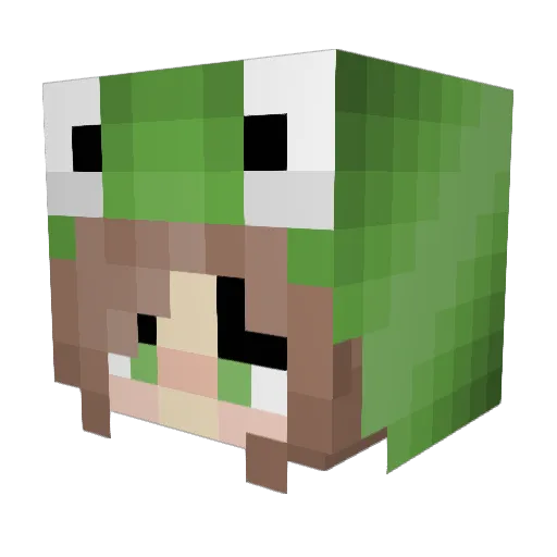 Plini0305 Minecraft avatar head, 3D render