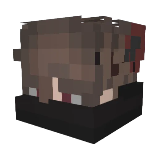 PlinkusPlonkus Minecraft avatar head, 3D render