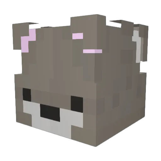 Plippy57 Minecraft avatar head, 3D render