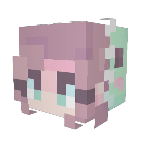 Plissuh Minecraft avatar head, 3D render